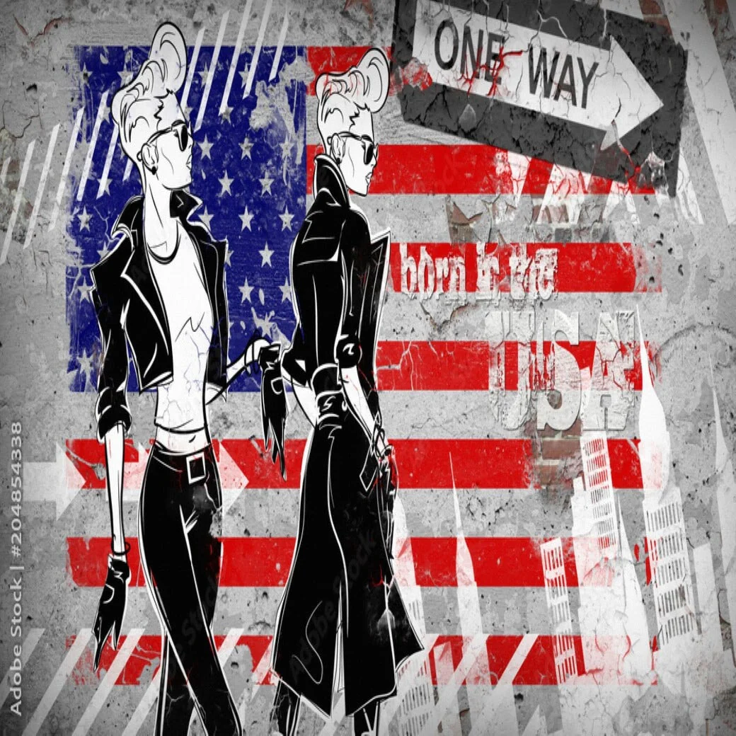 Papier Peint Ado Classique USA Trompe l'œil – Image 2