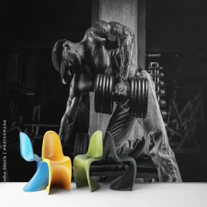 Papier Peint Ado Classique  Salle de Musculation