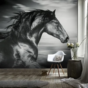 Papier Peint Ado Classique  Noir et Blanc Galop